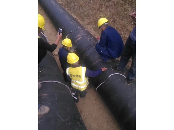 1713577758803515.jpg 49110d1bcf3f41331e7c084384e9b624_f589935236b049eee190ba00e424311a.jpg